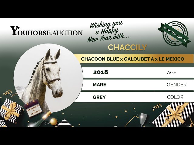 Chaccily training @ home