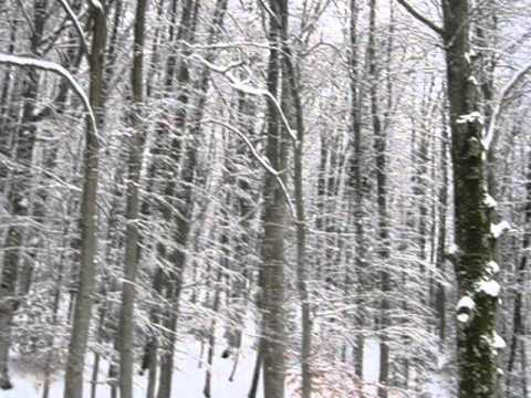 Laceno Piazzale delle Seggiovie - 24.01.11