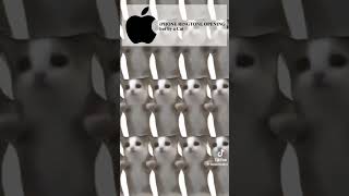Download lagu Iphone ringtone Cat version mp3 Download lagu Iphone ringtone Cat version mp3