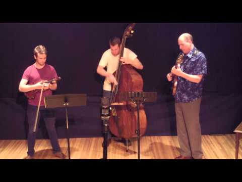 Lyle Hopkins String Trio - Blues