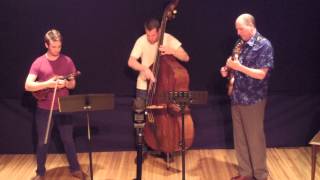 Lyle Hopkins String Trio - Blues