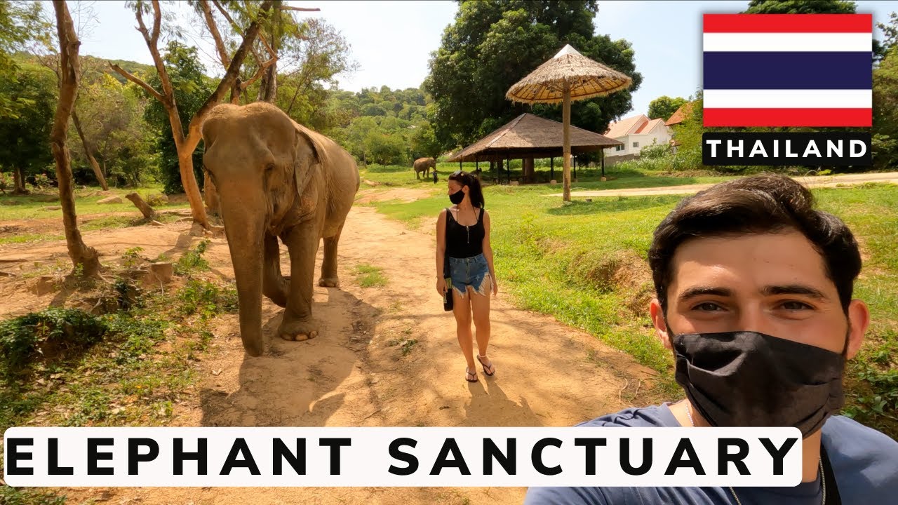 Experience the captivating charm of Samui Elephant Sanctuary in this immersive video.