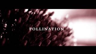 Bambi the Hooker and a Case of Beer