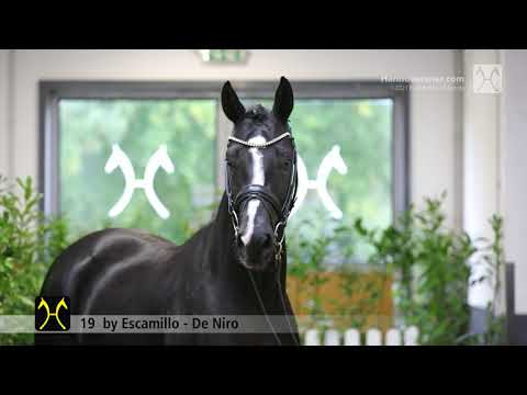 Verden Stallion Licensing 2021 - Dressage -  Nov. 4-6 - No. 19 Stallion by Escamillo - De Niro