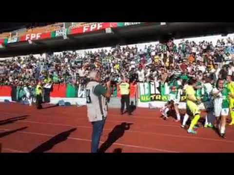 SuperTaça Feminina Allianz