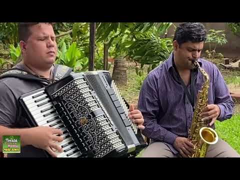 383  Não tardará !  Não  tardará!