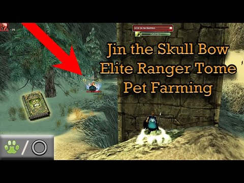 Jin the Skull Bow Elite Ranger Tome Pet Farm - Guild Wars Ranger Farm R/Any, HM