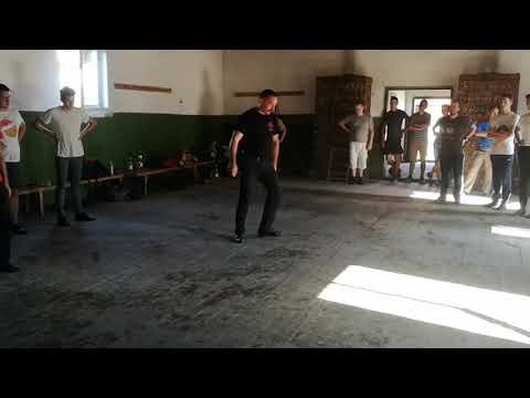 Tófalvi Árpád (Gödri) 2