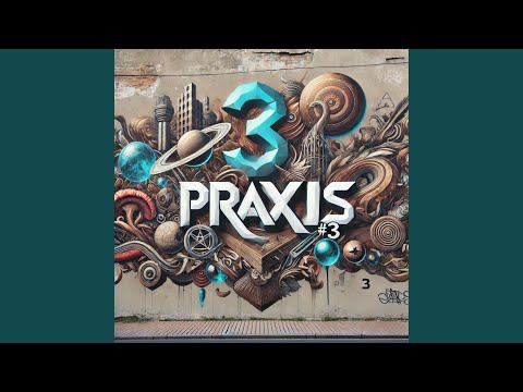 Praxis #3