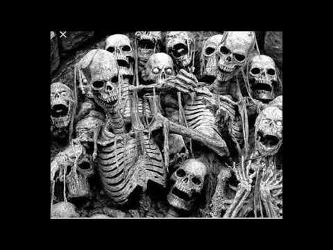 El perla negra - Goser 039 (OFICIAL)