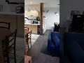 video NLpHPqJBp6M
