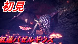 紅蓮滾るバゼルギウスが爆撃機な件【モンスターハンターワールドアイスボーン新天地で狩猟生活】