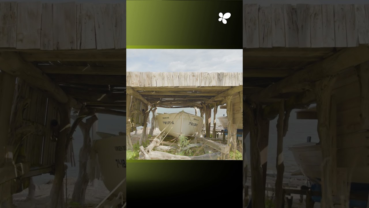 Projecte de Renovació del Paviment i Serveis Diversos d'Infraestructura als Pujols