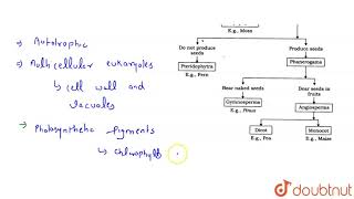 Describe the important characters of kingdom plantae. | 11 | BIOLOGICAL CLASSIFICATION | BIOLOGY...