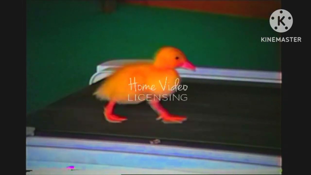 AFV Duck Treadmill