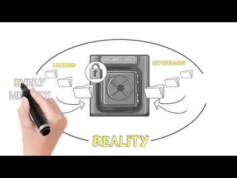 Rapid Reprogramming Therapy video.