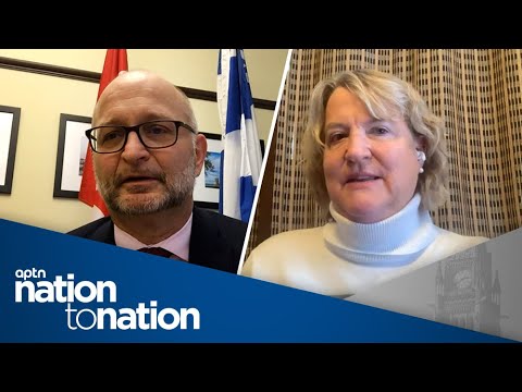 UNDRIP bill is the way forward says minister, while critic says it lacks clarity | Nation to Nation