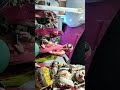 Lavanya Vlogs Is Live