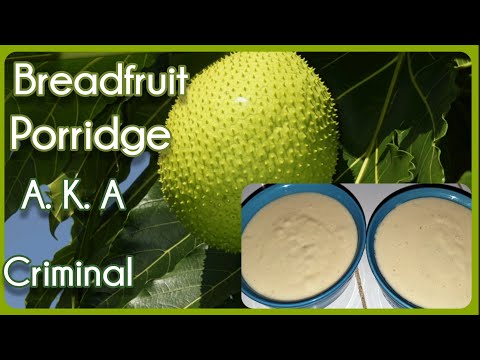 Breadfruit porridge A. K. A criminal