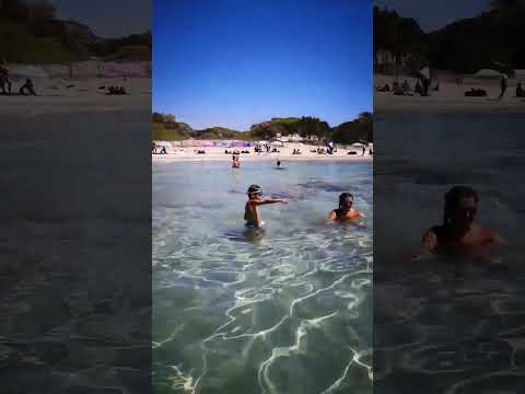 Playa Las Salinas Ibiza (Ses Salines) #ibiza #ibiza2023