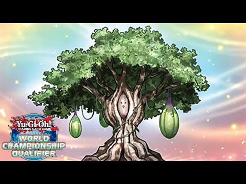 6th Place Vancouver Regional Sunavalon Deckprofile [Daniel Li]