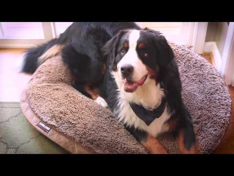 Winter Energy Saving Tips from NOVEC