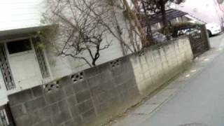 Japan Clips "The Old Dead TV and Car"