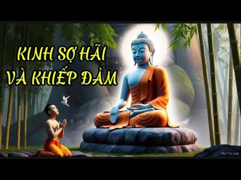 KINH NIKAYA - BÀI KINH SỐ 4 - KINH SỢ HÃI VÀ KHIẾP ĐẢM