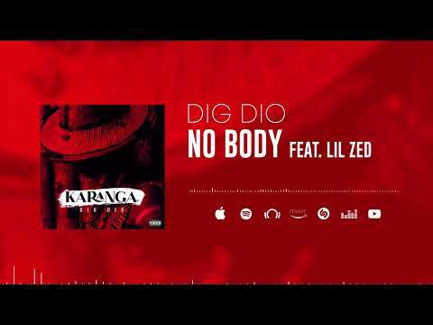 DIG DIO - NO BODY FT LIL ZED (KARANGA)