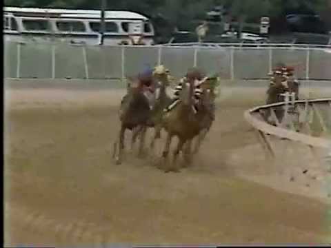 Affirmed vs. Alydar - 1978 Preakness Stakes