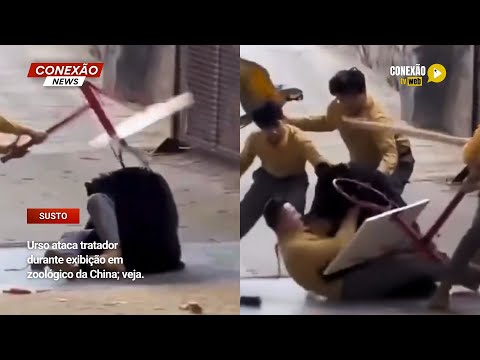 Vídeo: Urso ataca tratador durante exibição em zoológico da China; veja.