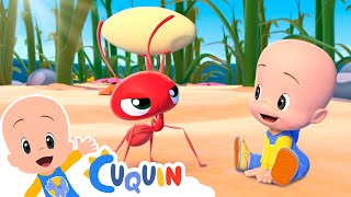 Thumbnail