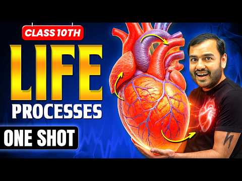 Life Processes class 10 science biology || Complete CHAPTER IN ONE SHOT || NCERT Covered ||