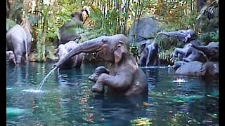 Jungle Cruise (2002 POV) - Disneyland Theme Park California