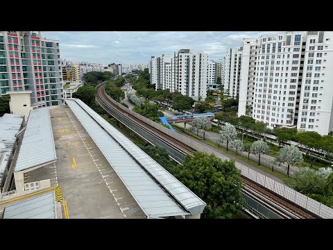 Woodlands Transport Cam