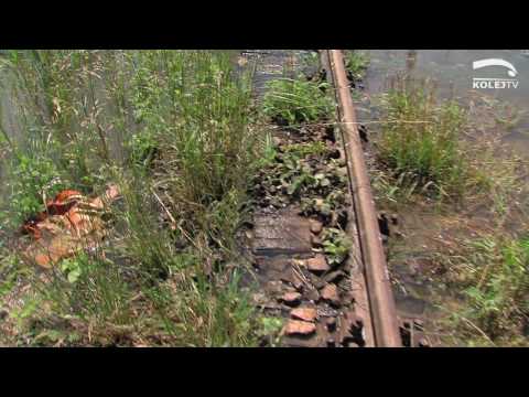 Kolej TV 16.06.2010 - Kolej liczy straty po powodzi. Austriacka minikolej.