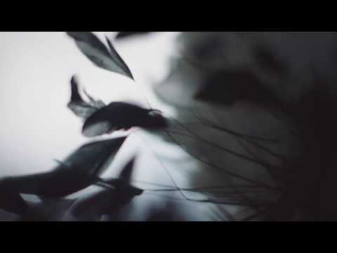 Inside the Maisons dArt   Paris Cosmopolite 201617 Métiers dArt CHANEL Collectionbaixavideos com br