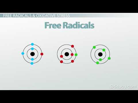 Inflammation, Oxidative Stress & Free Radical Damage to Health