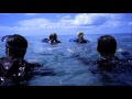 The Reef Trailer