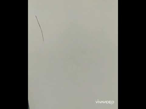 12 watercolour flowers ! 🥰