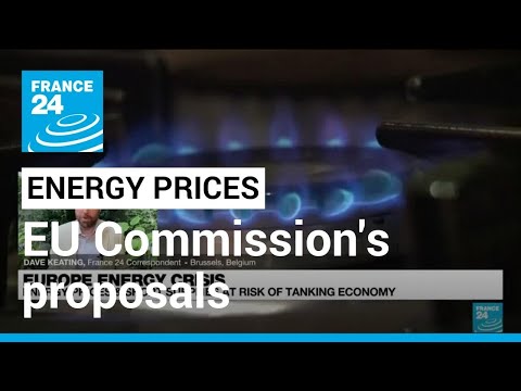 EU faces battle to keep energy prices from tanking economy • FRANCE 24 English