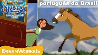 Origens da amizade: a história de Lucky e Spirit | SPIRIT CAVALGANDO LIVRE Origens da amizade: a história de Lucky e Spirit | SPIRIT CAVALGANDO LIVRE