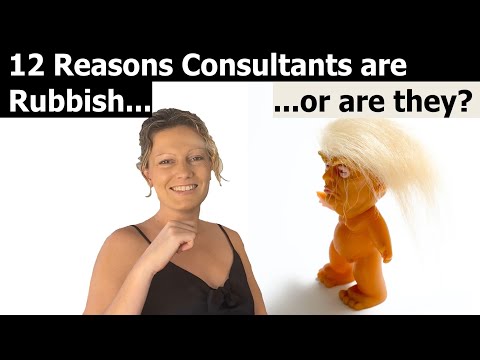 Overview of all roles on a Consulting project team via Chatbot Case Study