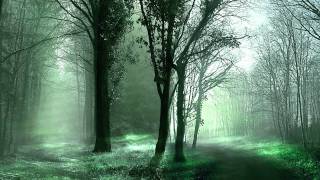 Chicane - Poppiholla (Original Mix)