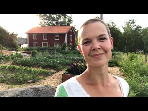 Kvällstur i juni 2018