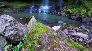 preview picture of video 'Cachoeira da Mata - Sapopema PR'
