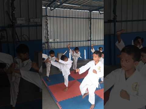 Hard Work & Focus | Karate Students Training at the Dojo