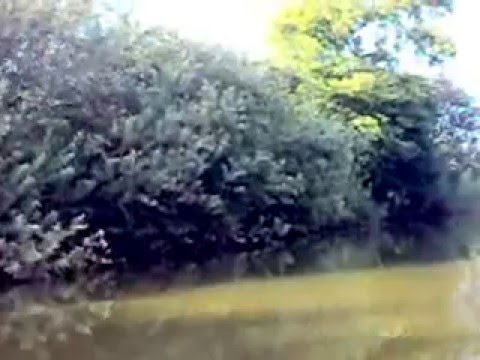 Spływ kajakowy Rzeką Wełną Rogowo