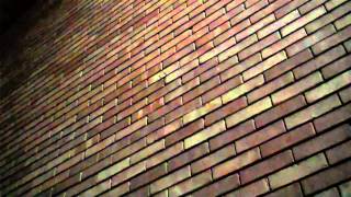 Tribute to David Jarboe