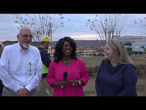 Real Talk - Valmiera Glass